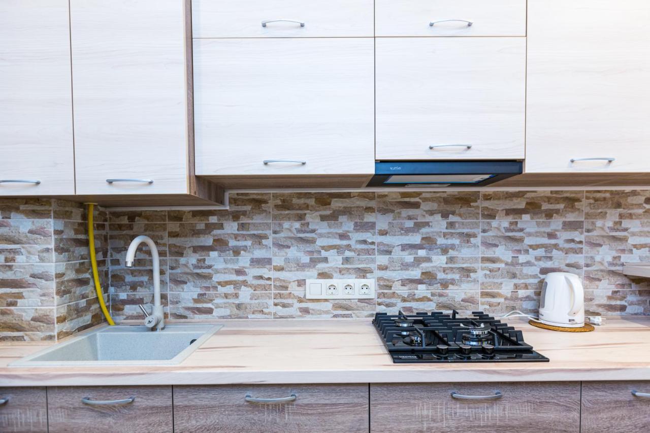 2 Kn. Romana Apartment リヴィウ エクステリア 写真